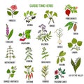 Best herbs for cardio tonic