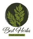 Best herbs fresh and tasty spices for food vector