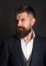 The best hipster beard style ever. Fashion model with long beard hair. Bearded man with stylish haircut. Man of fashion