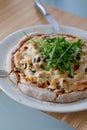 Best Homemade Vegan Pizza