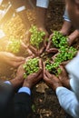 The best investment a business can make is in teamwork. a diverse group of businesspeople holding plants growing out of Royalty Free Stock Photo