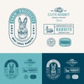 Best Local Rabbits Farm Retro Framed Badges or Logo Templates Collection. Hand Drawn Hare Face and Animals Sketches with Royalty Free Stock Photo