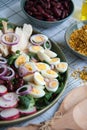 Fresh salad with chicken, red beans, cucumber, radish, eggs and onion Royalty Free Stock Photo