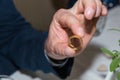 A best man holds the golden wedding ring in the camera, Germany,