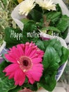 Bouquet of beautiful flowers for mother`s day