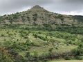 Best mountain view with animals