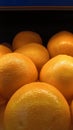 Best oranges Royalty Free Stock Photo