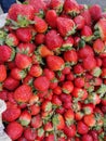 Best organic Strawberries fresh and sweet