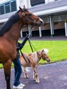 The Best of Pals at Churchill Downs the home of the Kentucky Darby