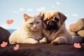 Best pals Dog and cat share outdoor fun, lying back