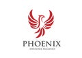 Best phoenix bird logo design