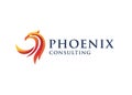 Best phoenix head logo design