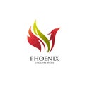 Best phoenix logo vector