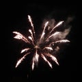 Best photo of real fireworks on black background for overlay blending mode Royalty Free Stock Photo
