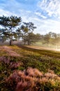 Best picturre of the Autumn with magic sky and clouds