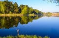 Best place for fishing. Morning on a forest lake. Royalty Free Stock Photo