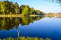 Best place for fishing. Morning on a forest lake.