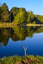 Best place for fishing. Morning on a forest lake. Royalty Free Stock Photo