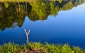 Best place for fishing. Morning on a forest lake. Fishing pole holder Royalty Free Stock Photo