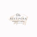 The Best Pork Abstract Vector Sign, Symbol or Logo Template. Elegant Hand Drawn Pig Sketch with Classy Retro Typography