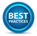 Best Practices Eyeball Blue Round Button Royalty Free Stock Photo