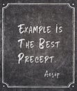 Best precept Aesop