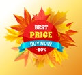 Best Price Buy Now -50 Promo Label Design Maple Royalty Free Stock Photo