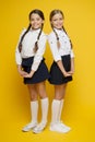 Best pupils award. Making everything right. Excellent pupils. Girls perfect uniform outfit on yellow background