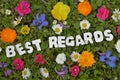 Best regards flower meadow letter Royalty Free Stock Photo