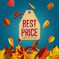 Best special price label. Limited offer.