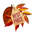 Best special price label. Limited offer.