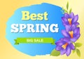 Best Spring Big Sale Advertisement Label Crocus Royalty Free Stock Photo