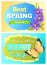 Best Spring Big Sale Advertisement Labels Crocus Royalty Free Stock Photo