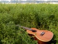 The Best Stock Image of Ukulele Instrument with natural environment, Nature Sounds Nature Music - nature lovers