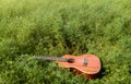 The Best Stock Image of Ukulele Instrument with natural environment, Nature Sounds Nature Music - nature lovers