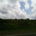 Best tree plantation clouds background