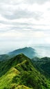Best view Mountain telomoyo central java Royalty Free Stock Photo