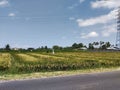 the best views of the expanse of rice fields and very pleasing to the eye