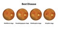 Best vitelliform macular dystrophy stages, scientific illustration