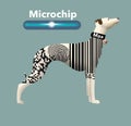 The best way to tag your dog so he can be returned if lost is with a microchip.