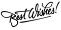 BEST WISHES hand lettering (vector)