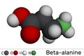 Beta-alanine or ÃÂ²-Alanine molecule. It is naturally occurring beta amino acid. Molecular model. 3D rendering