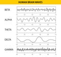 Beta, alpha, theta, delta, gamma brain waves. Set of brain waves oscillation. Human rhythm, types, amplitude of mind Royalty Free Stock Photo