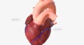 Beta Blockers for Treating Cardiovascular Conditions