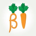 Beta-Carotene (provitamin A) healthy carrot