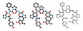 Beta-casomorphin peptide 7 molecule. Breakdown product of casein that may play a role in human diseases Royalty Free Stock Photo