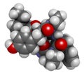 Beta-casomorphin peptide 7 molecule. Breakdown product of casein that may play a role in human diseases. 3D rendering. Atoms are