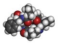 Beta-casomorphin peptide 7 molecule. Breakdown product of casein that may play a role in human diseases. 3D rendering. Atoms are