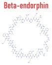 Beta-endorphin endogenous opioid peptide molecule. Skeletal formula.