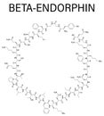 Beta-endorphin molecule. Skeletal formula. Royalty Free Stock Photo